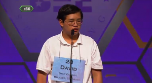 Spelling Bee 12