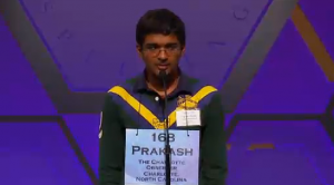 Spelling Bee 17