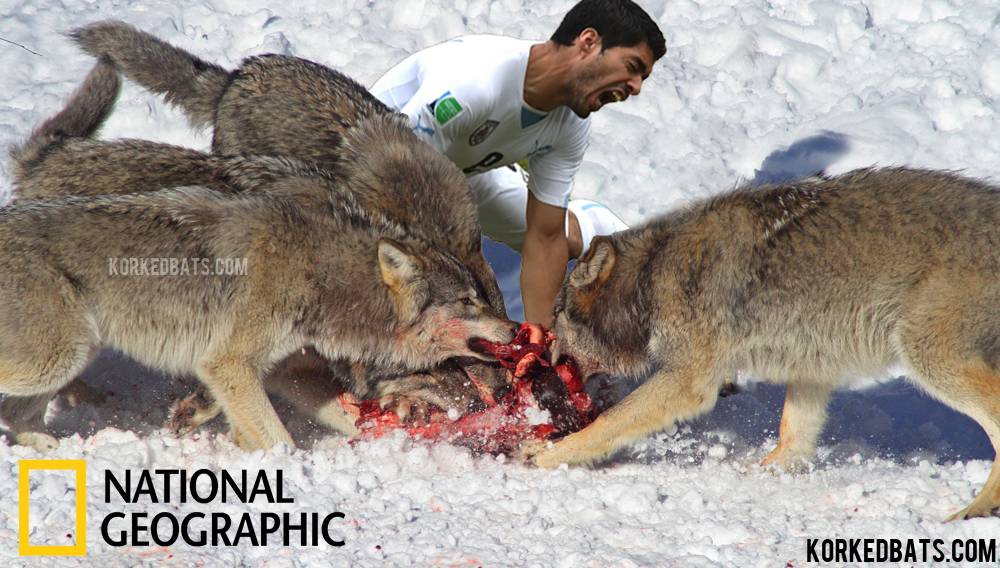Suarez Wolves 2