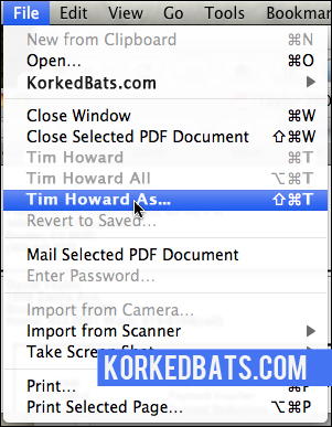 Tim Howard - File Bar