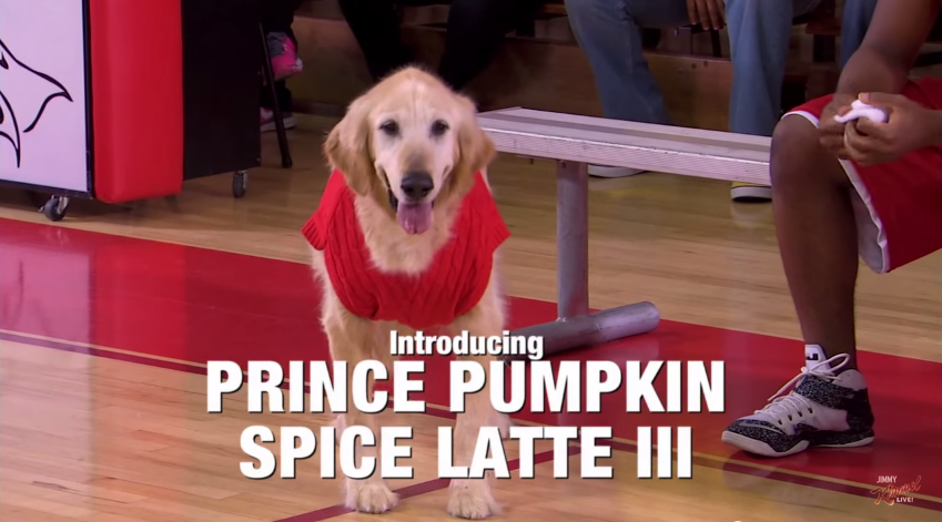 Air Bud Sequel - 4